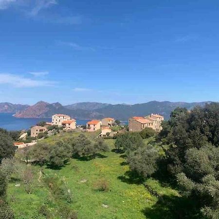 Appartement De Standing Piana Piana  Luaran gambar
