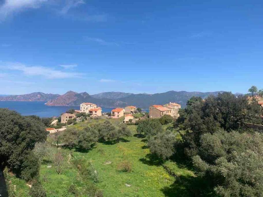 Appartement De Standing Piana Piana  Luaran gambar